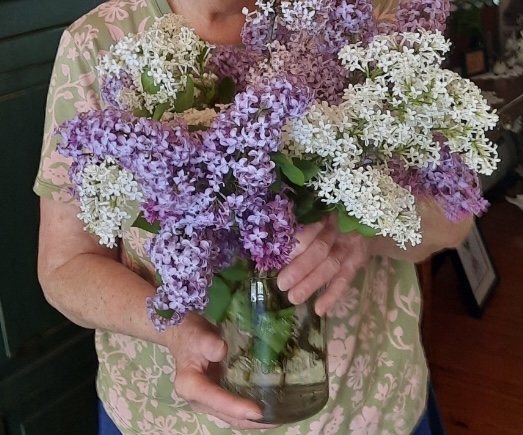 Grandma’s Lilacs