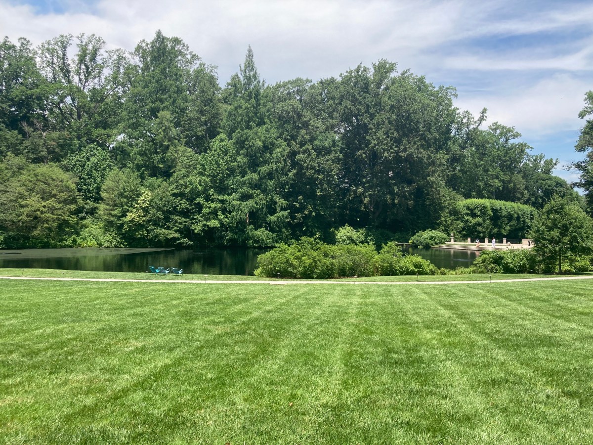 Listen to the&nbsp;Trees