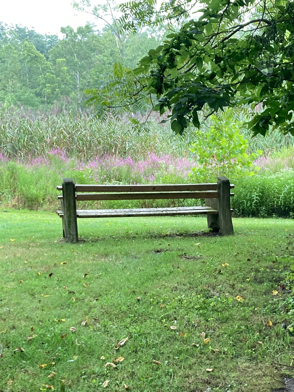 Get Off the&nbsp;Bench!